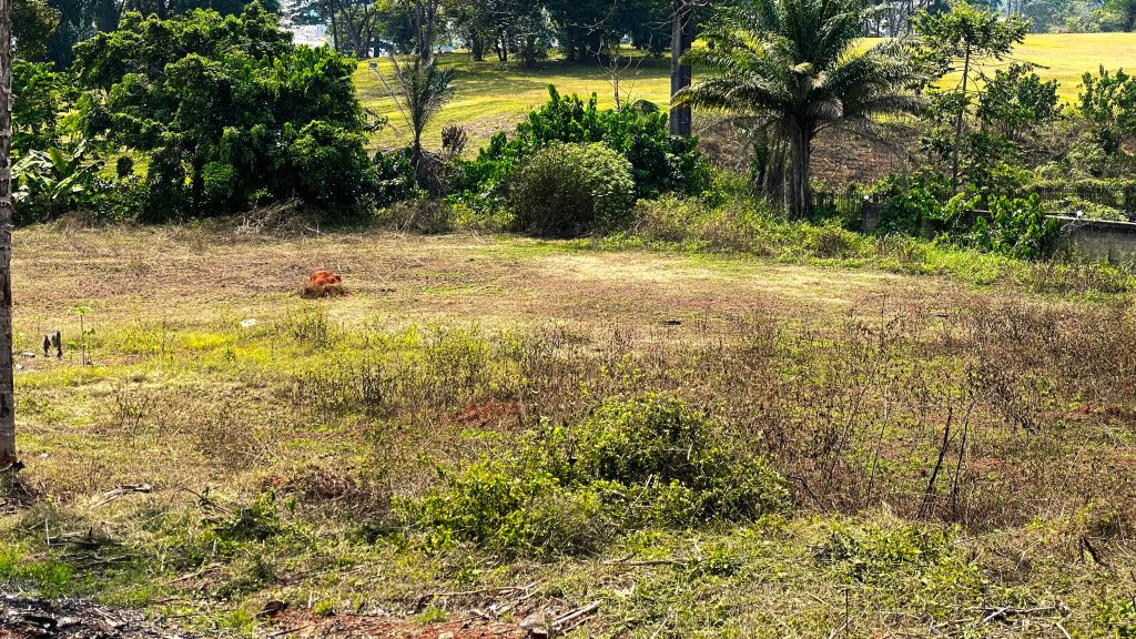 Terrain d&rsquo;exception au Golf Olinga