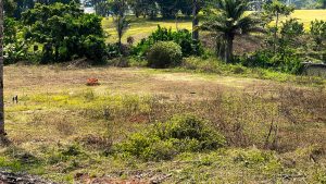 Terrain d&rsquo;exception au Golf Olinga