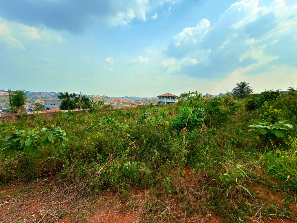 Terrain Sécurisé de 2 000 m² à Nkolfoulou