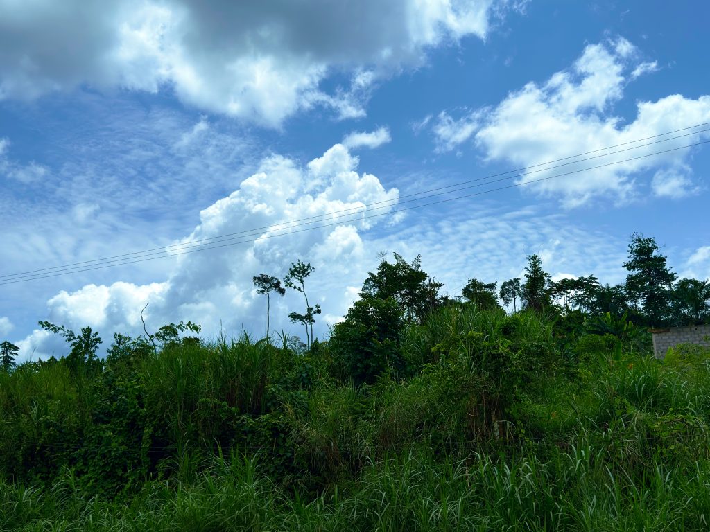 Terrain foncier d’envergure à Mbankomo